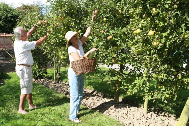 verget-gites les amourette